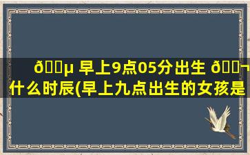 🐵 早上9点05分出生 🐬 是什么时辰(早上九点出生的女孩是什么命)